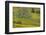 Oregon, Tom Mccall Nature Conservancy. Meadow with Balsamroot Flowers and Oak Tree-Jaynes Gallery-Framed Photographic Print