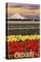 Oregon Tulip Farm, c.2009-Lantern Press-Stretched Canvas