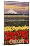 Oregon Tulip Farm, c.2009-Lantern Press-Mounted Art Print