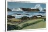 Oregon - View of Seal Rock in between Waldport and Newport-Lantern Press-Stretched Canvas