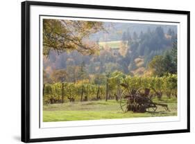 Oregon Vineyard 2-Donald Paulson-Framed Giclee Print