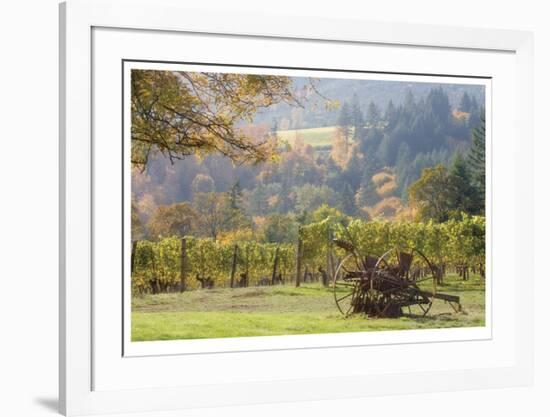 Oregon Vineyard 2-Donald Paulson-Framed Giclee Print