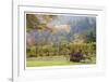 Oregon Vineyard 2-Donald Paulson-Framed Giclee Print