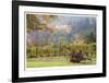 Oregon Vineyard 2-Donald Paulson-Framed Giclee Print