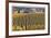 Oregon Vineyard-Donald Paulson-Framed Giclee Print