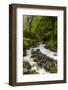 Oregon, Wahkeena Falls. Located Along I-84, the Columbia River Gorge-Richard Duval-Framed Photographic Print