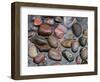 Oregon, Willamette National Forest. Three Sisters Wilderness, Colorful rocks in French Pete Creek.-John Barger-Framed Photographic Print