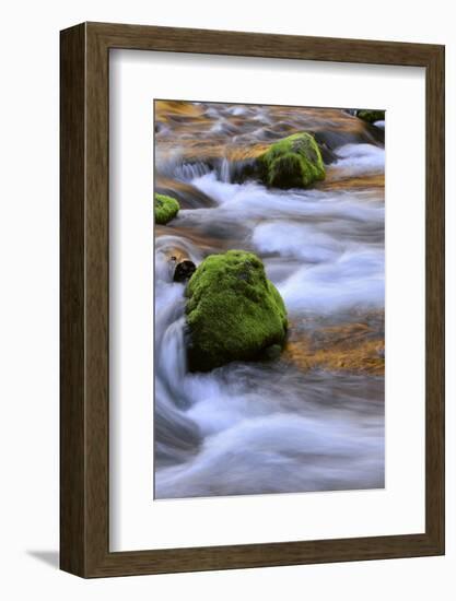 Oregon, Willamette NF. Mckenzie River Flowing over Moss-Covered Rocks-Steve Terrill-Framed Photographic Print
