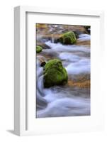 Oregon, Willamette NF. Mckenzie River Flowing over Moss-Covered Rocks-Steve Terrill-Framed Photographic Print