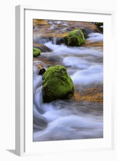 Oregon, Willamette NF. Mckenzie River Flowing over Moss-Covered Rocks-Steve Terrill-Framed Photographic Print