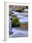 Oregon, Willamette NF. Mckenzie River Flowing over Moss-Covered Rocks-Steve Terrill-Framed Photographic Print