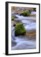 Oregon, Willamette NF. Mckenzie River Flowing over Moss-Covered Rocks-Steve Terrill-Framed Photographic Print