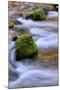 Oregon, Willamette NF. Mckenzie River Flowing over Moss-Covered Rocks-Steve Terrill-Mounted Photographic Print