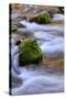 Oregon, Willamette NF. Mckenzie River Flowing over Moss-Covered Rocks-Steve Terrill-Stretched Canvas