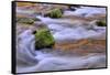 Oregon, Willamette NF. Mckenzie River Flowing over Moss-Covered Rocks-Steve Terrill-Framed Stretched Canvas