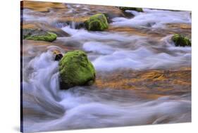 Oregon, Willamette NF. Mckenzie River Flowing over Moss-Covered Rocks-Steve Terrill-Stretched Canvas