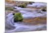 Oregon, Willamette NF. Mckenzie River Flowing over Moss-Covered Rocks-Steve Terrill-Mounted Premium Photographic Print