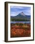 Oregon. Willamette NF, Mount Washington rises beyond autumn-colored huckleberry and Big Lake.-John Barger-Framed Photographic Print