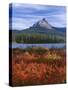 Oregon. Willamette NF, Mount Washington rises beyond autumn-colored huckleberry and Big Lake.-John Barger-Stretched Canvas