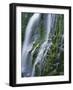 Oregon. Willamette NF, Three Sisters Wilderness, Lower Proxy Falls displays multiple cascades-John Barger-Framed Photographic Print