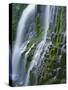 Oregon. Willamette NF, Three Sisters Wilderness, Lower Proxy Falls displays multiple cascades-John Barger-Stretched Canvas