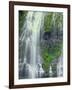 Oregon. Willamette NF, Three Sisters Wilderness, Lower Proxy Falls displays multiple cascades-John Barger-Framed Photographic Print