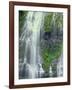 Oregon. Willamette NF, Three Sisters Wilderness, Lower Proxy Falls displays multiple cascades-John Barger-Framed Photographic Print