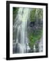 Oregon. Willamette NF, Three Sisters Wilderness, Lower Proxy Falls displays multiple cascades-John Barger-Framed Photographic Print