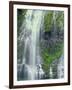 Oregon. Willamette NF, Three Sisters Wilderness, Lower Proxy Falls displays multiple cascades-John Barger-Framed Photographic Print