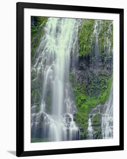 Oregon. Willamette NF, Three Sisters Wilderness, Lower Proxy Falls displays multiple cascades-John Barger-Framed Photographic Print