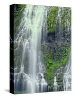 Oregon. Willamette NF, Three Sisters Wilderness, Lower Proxy Falls displays multiple cascades-John Barger-Stretched Canvas