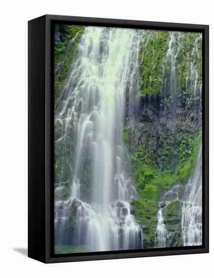 Oregon. Willamette NF, Three Sisters Wilderness, Lower Proxy Falls displays multiple cascades-John Barger-Framed Stretched Canvas