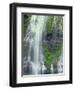 Oregon. Willamette NF, Three Sisters Wilderness, Lower Proxy Falls displays multiple cascades-John Barger-Framed Photographic Print