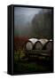 Oregon Wine Country II-Erin Berzel-Framed Stretched Canvas