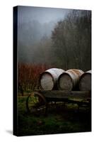 Oregon Wine Country II-Erin Berzel-Stretched Canvas