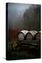 Oregon Wine Country II-Erin Berzel-Stretched Canvas