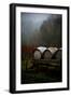 Oregon Wine Country II-Erin Berzel-Framed Photographic Print