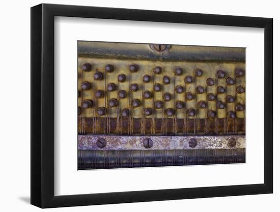 Oregon-Art Wolfe-Framed Photographic Print