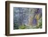 Oregon-Art Wolfe-Framed Photographic Print