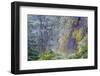 Oregon-Art Wolfe-Framed Photographic Print