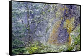 Oregon-Art Wolfe-Framed Stretched Canvas