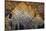 Oregon-Art Wolfe-Stretched Canvas