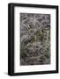 Oregon-Art Wolfe-Framed Photographic Print