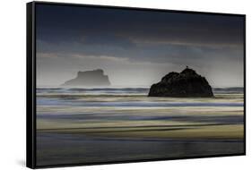 Oregon-Art Wolfe-Framed Stretched Canvas