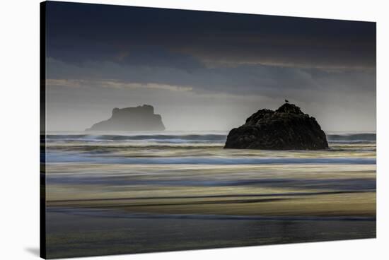 Oregon-Art Wolfe-Stretched Canvas