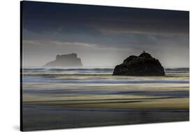 Oregon-Art Wolfe-Stretched Canvas