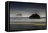 Oregon-Art Wolfe-Framed Stretched Canvas