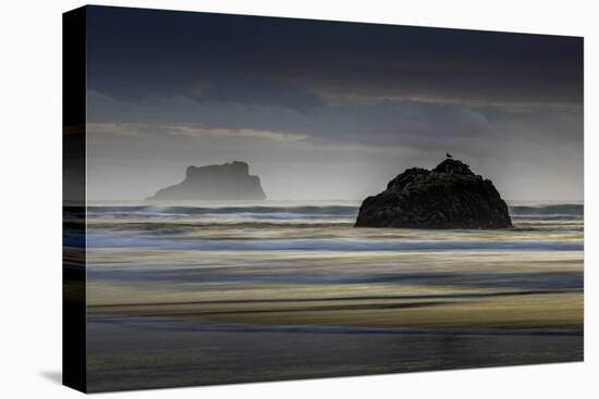 Oregon-Art Wolfe-Stretched Canvas