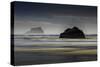 Oregon-Art Wolfe-Stretched Canvas