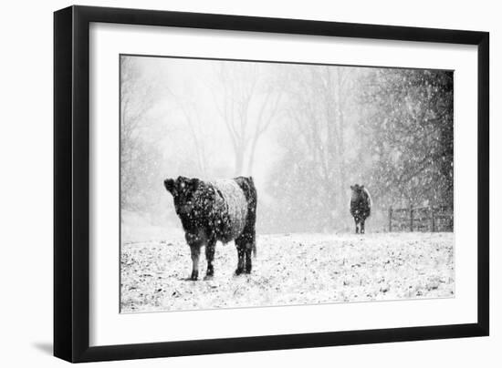 Oreos and Milk III-Aledanda-Framed Premium Giclee Print